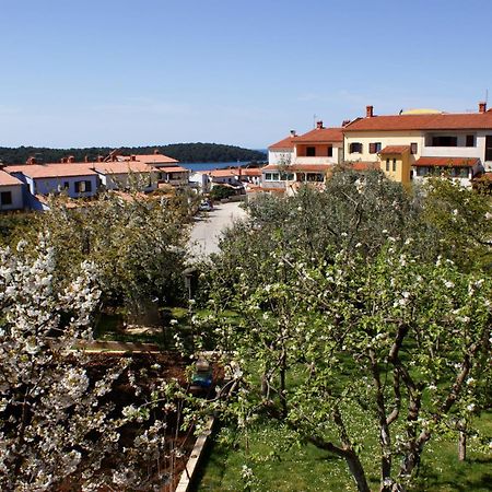 וינקורן Apartments Cezar מראה חיצוני תמונה