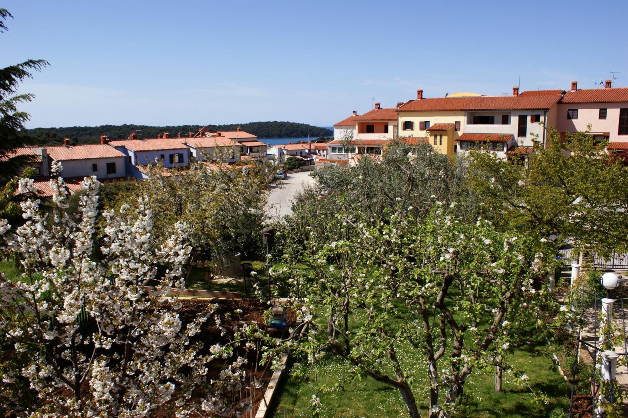 וינקורן Apartments Cezar מראה חיצוני תמונה